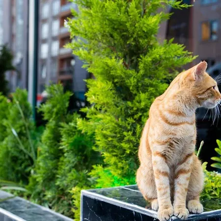 Grand Moon Hotel Istanboel