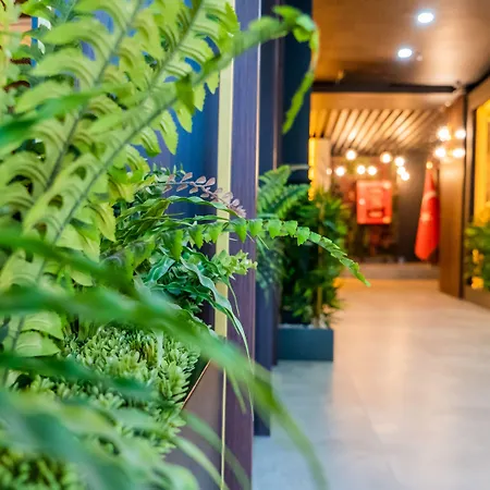 Отель Grand Moon *